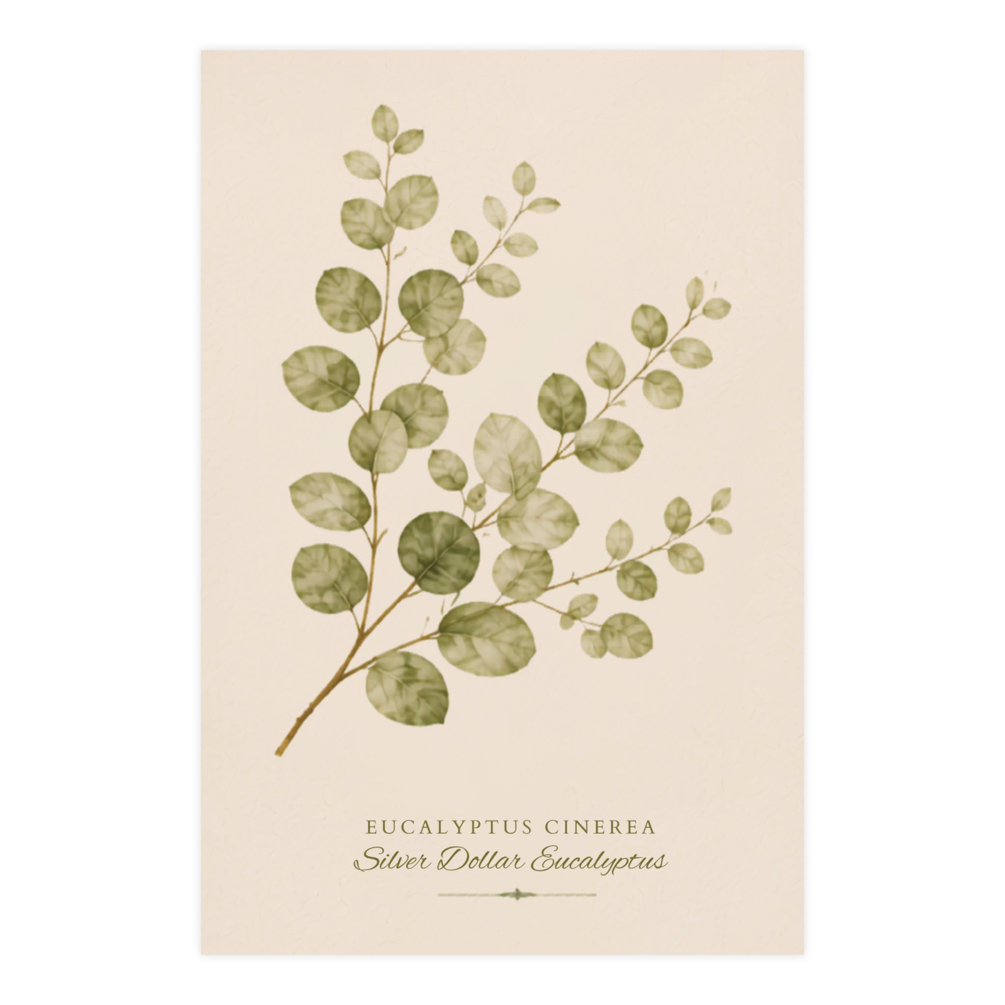 Eucalyptus Study Botanical Matte Poster — Portrait