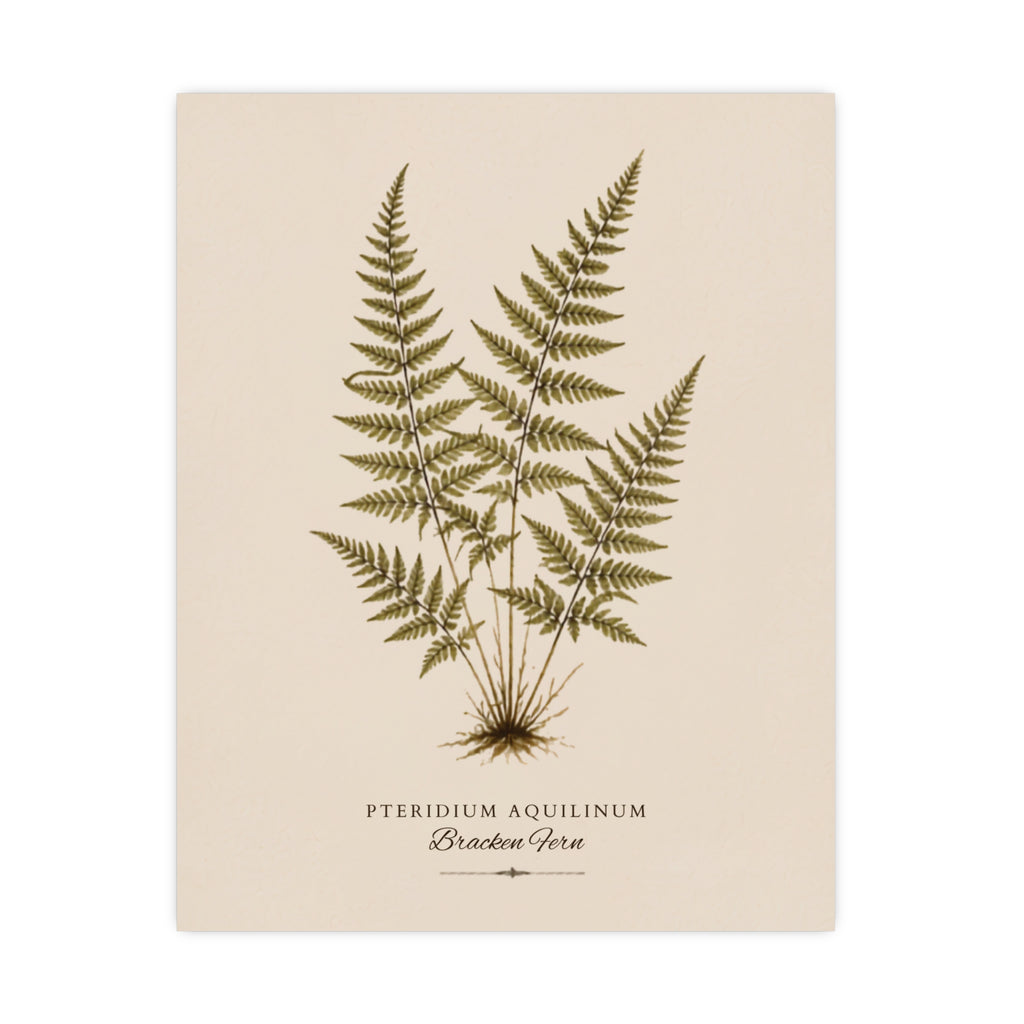 Fern Study Botanical Matte Poster — Portrait
