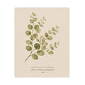 Eucalyptus Study Botanical Matte Poster — Portrait