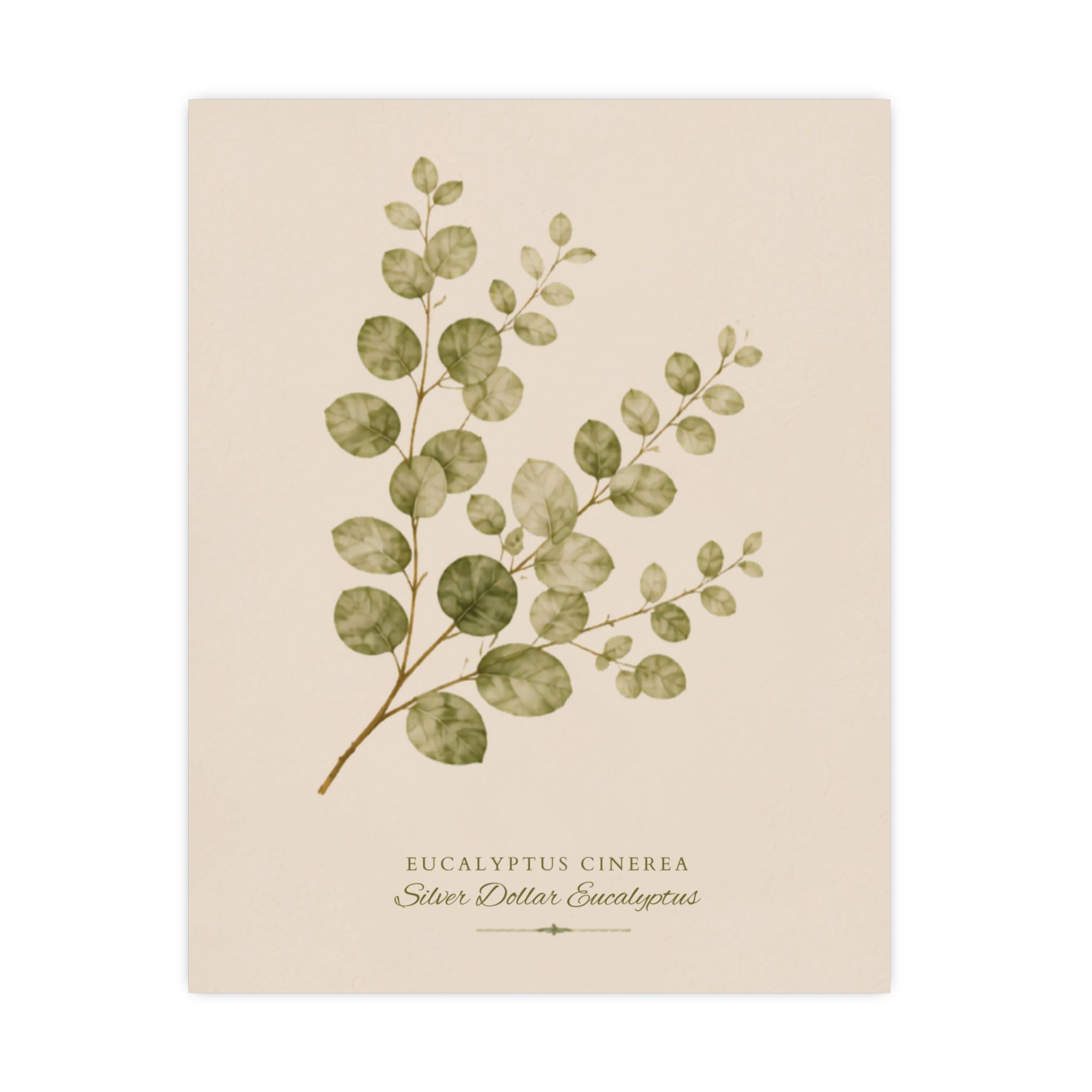 Eucalyptus Study Botanical Matte Poster — Portrait