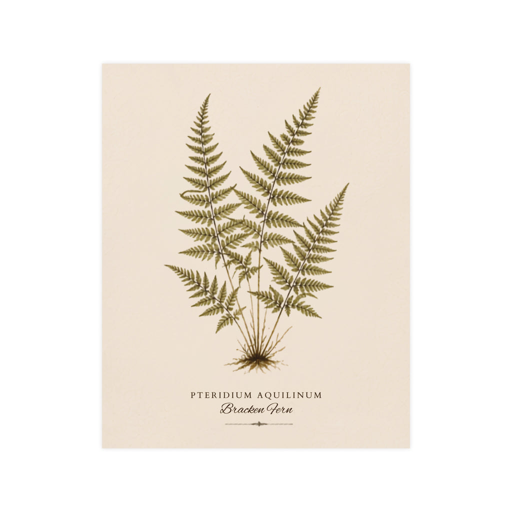 Fern Study Botanical Matte Poster — Portrait