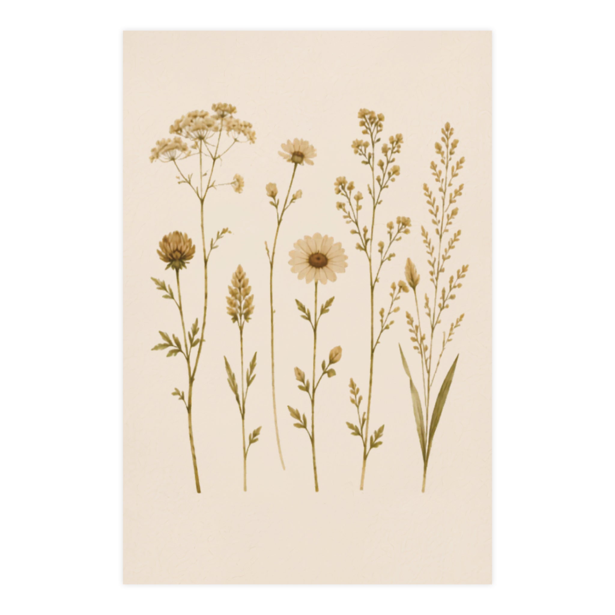 Wildflower Study Botanical Matte Poster — Portrait