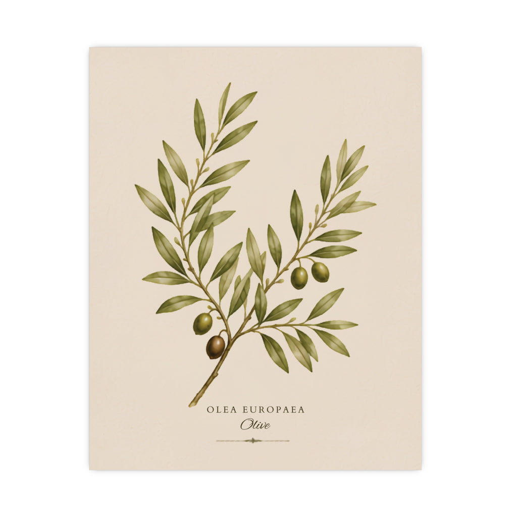 Olive Botanical Matte Poster — Portrait