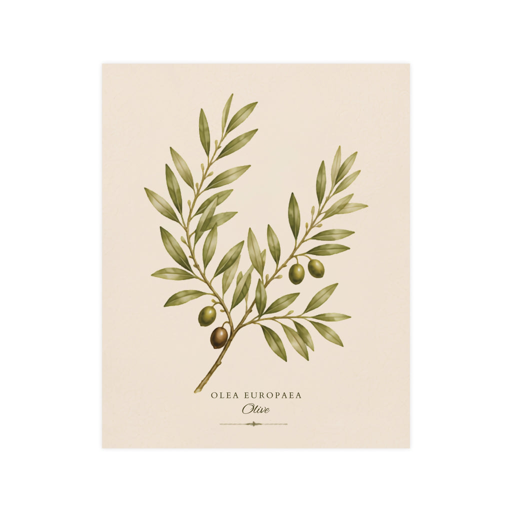 Olive Botanical Matte Poster — Portrait