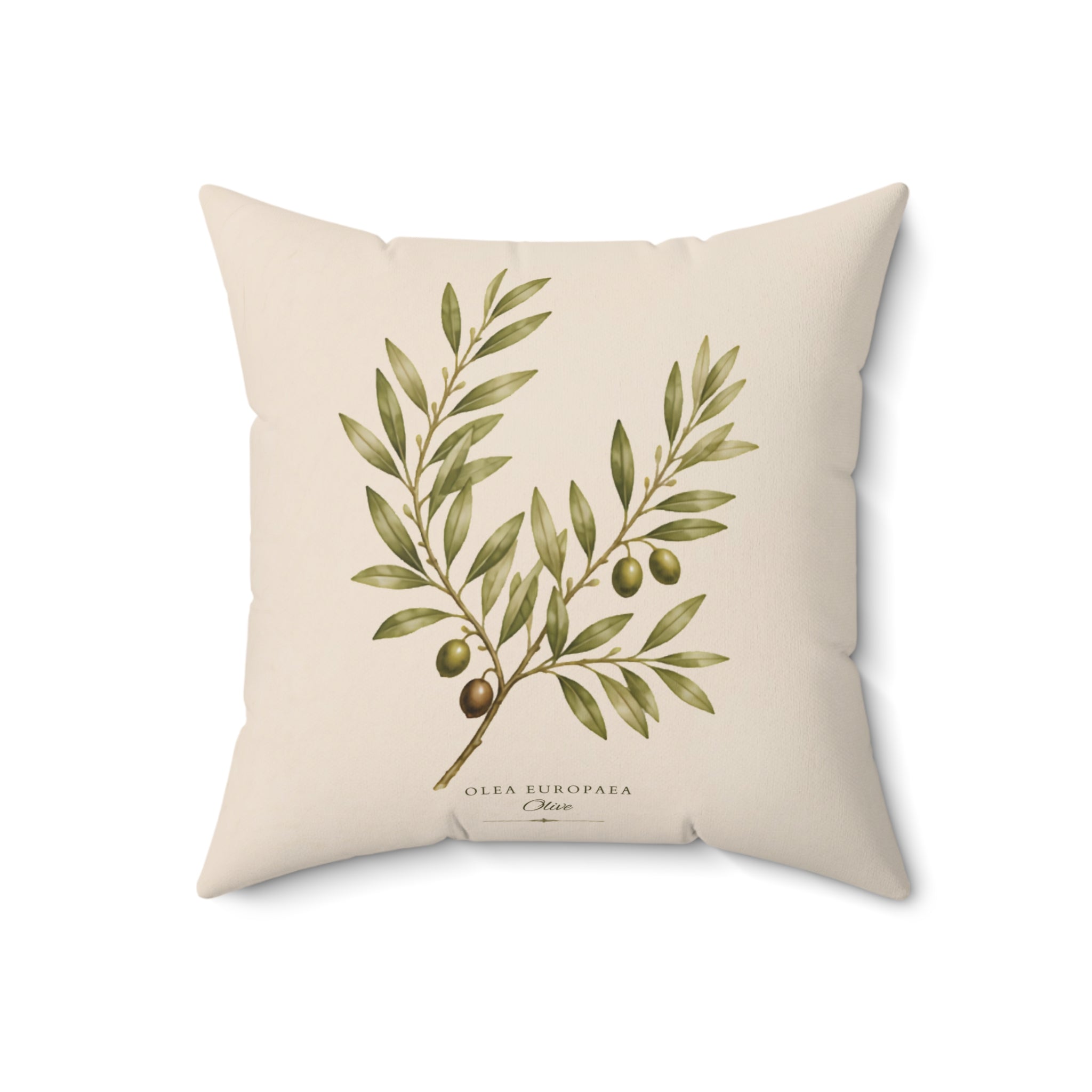 Olive Branch Study Botanical Throw Pillow