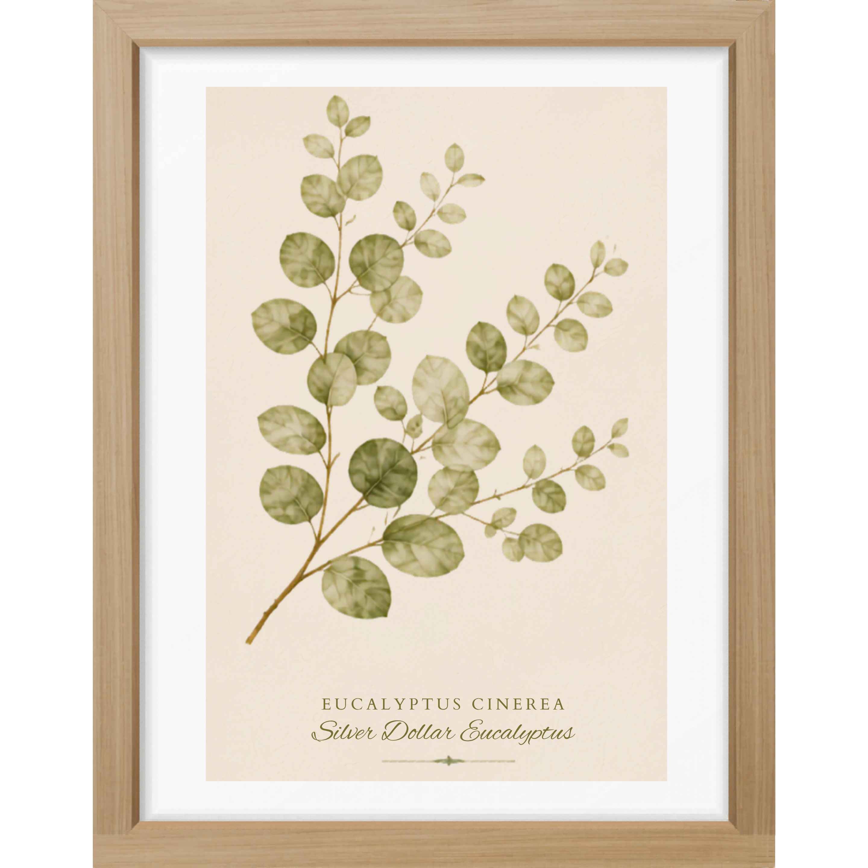 Eucalyptus Study Botanical Matte Poster — Portrait