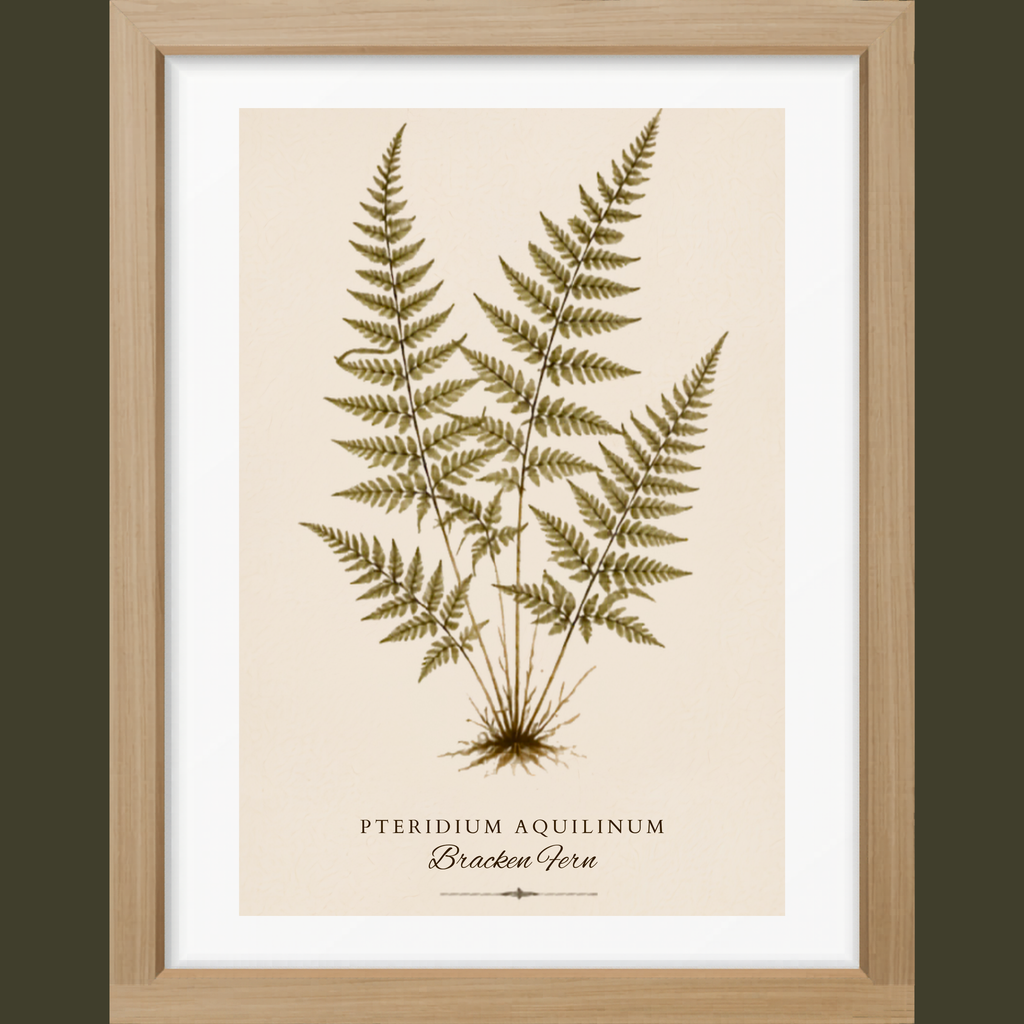 Fern Study Botanical Matte Poster — Portrait