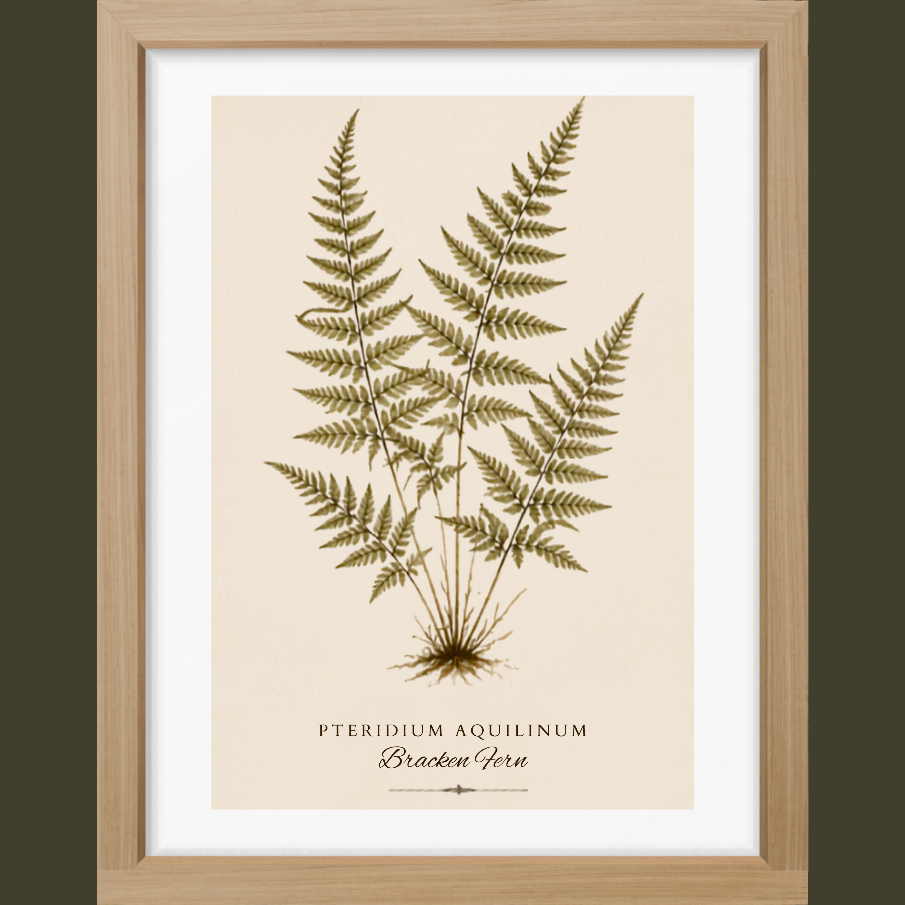 Fern Study Botanical Matte Poster — Portrait