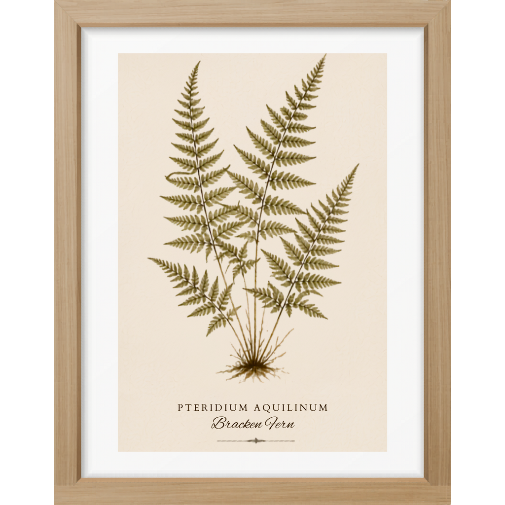 Fern Study Botanical Matte Poster — Portrait