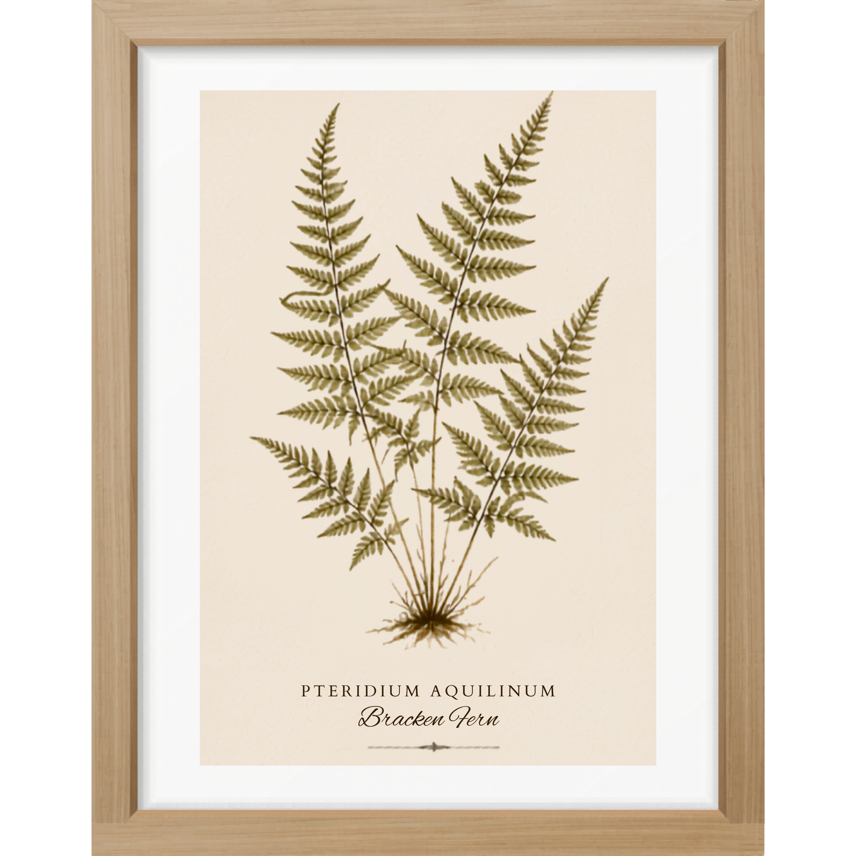 Fern Study Botanical Matte Poster — Portrait