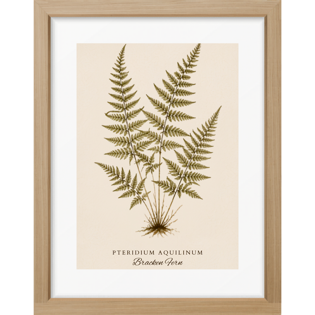 Fern Study Botanical Matte Poster — Portrait