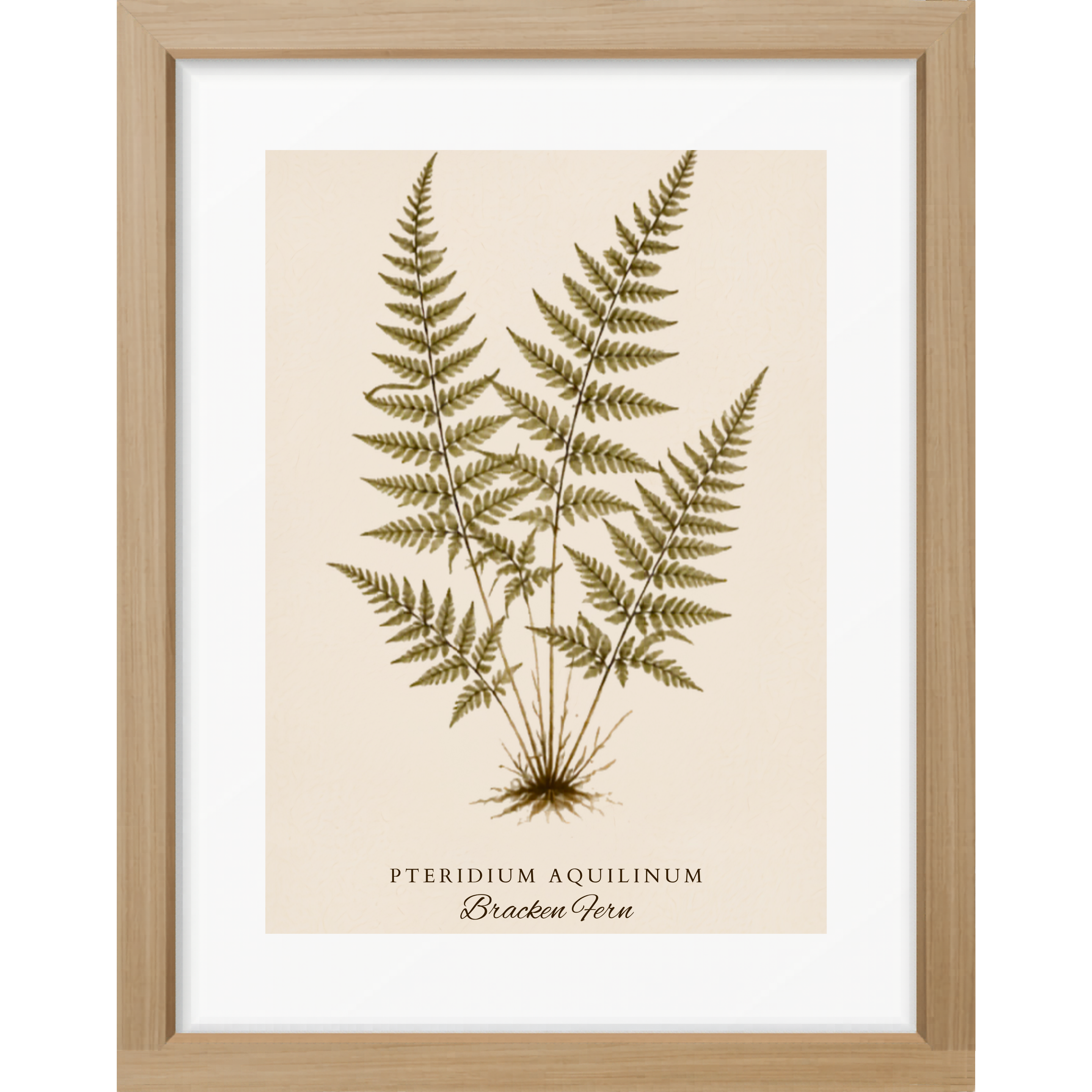 Fern Study Botanical Matte Poster — Portrait