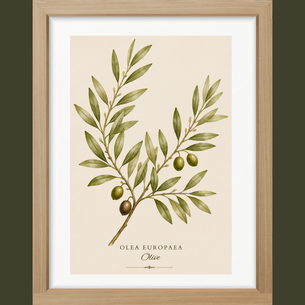 Olive Botanical Matte Poster — Portrait