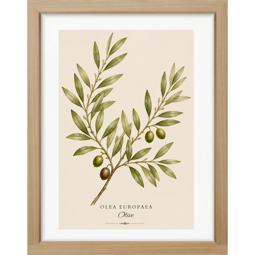 Olive Botanical Matte Poster — Portrait