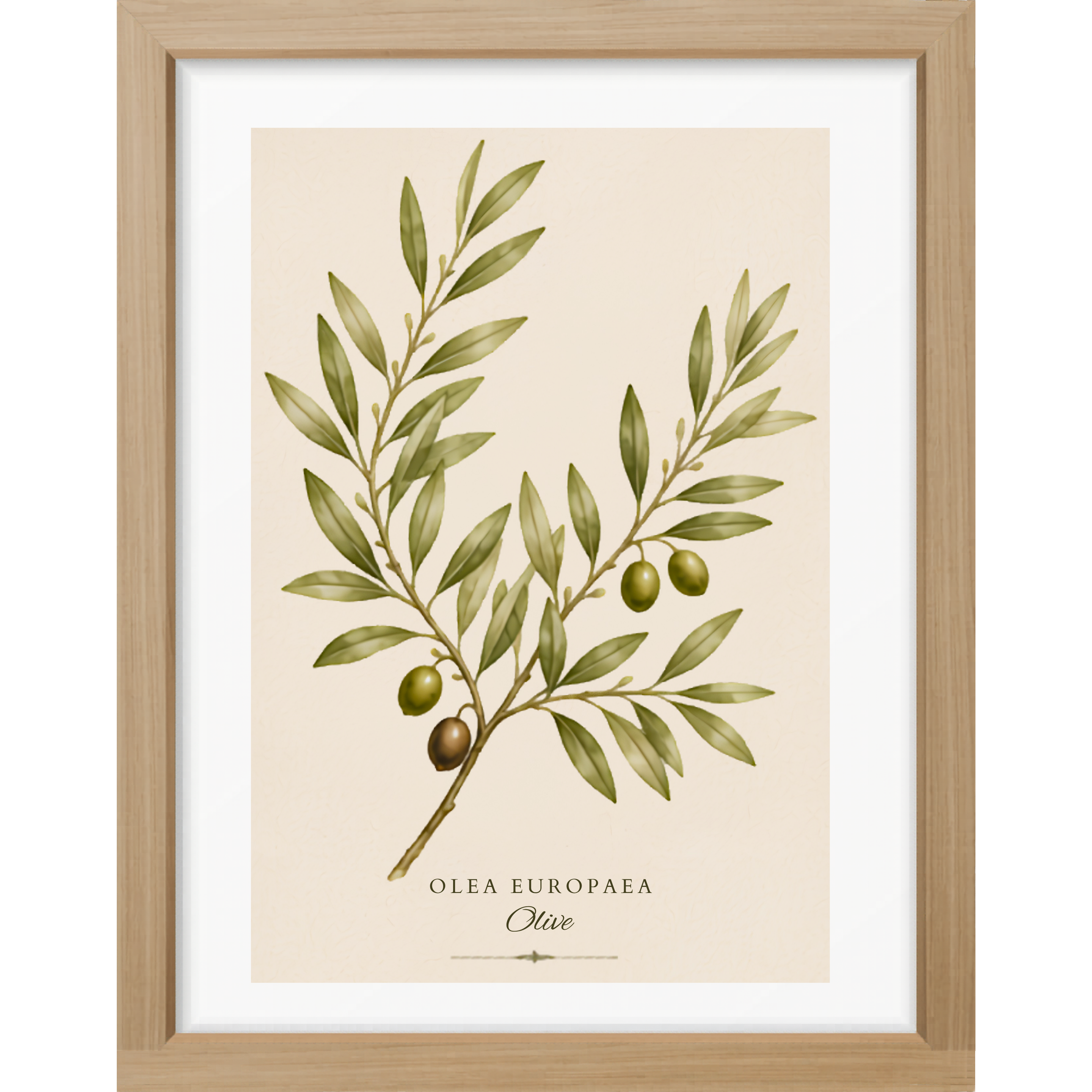 Olive Botanical Matte Poster — Portrait
